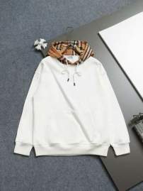 Picture of Burberry Hoodies _SKUBurberryS-XLxetr451880